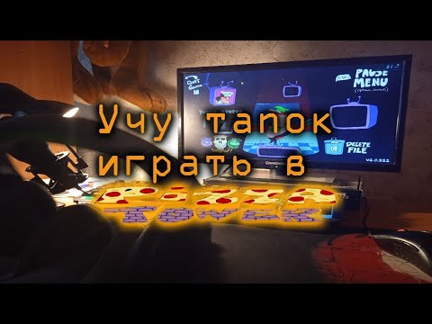 Видео: Учу Тапок Играть В Pizza Tower ( читайте описание)