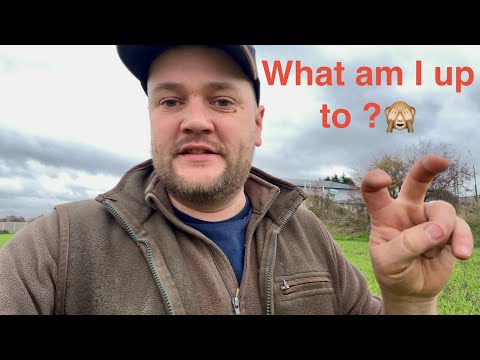 Видео: Сегодня на ферме полный дом!!