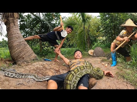 Видео: На молодого человека напал гигантский питон, который использовал курицу в качестве приманки.