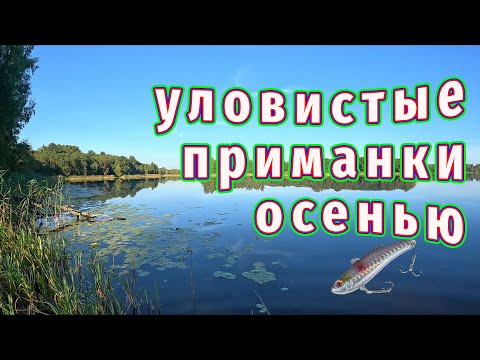 Видео: Почему рыбалка поднимает настроение? Новый водоём и Новые приманки!