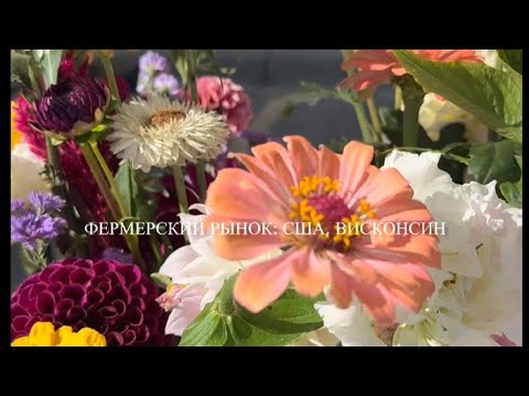 Видео: Фермерский рынок: штат Висконсин. 