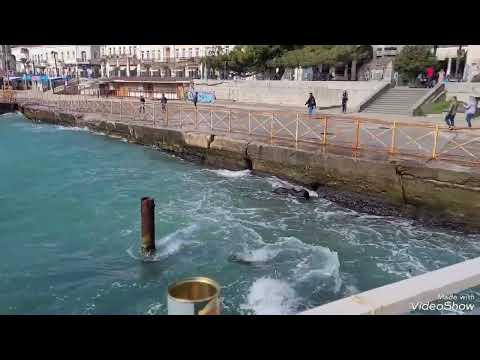Видео: Афзалшо Шодиев Эй ёр биё !                    Gaynava tj.