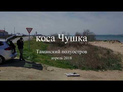 Видео: коса Чушка