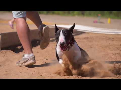 Видео: Легкоатлетическое пит-стафф многоборье "Jump'n'Gym JUMP!" 26 июля 2025 МСК