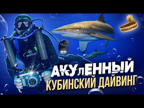 Видео: Дайвинг с акулами на Кубе!