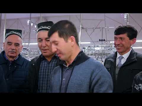 Видео: ИСТАРАВШАН:(Made in Istaravshan)