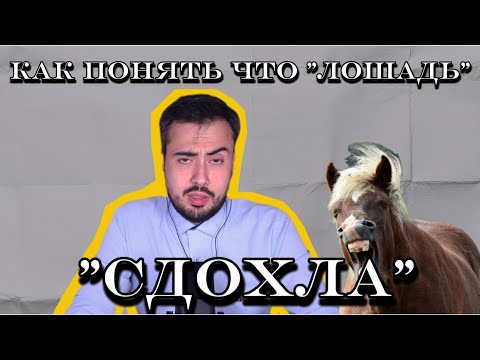 Видео: Как понять что пора слезать?