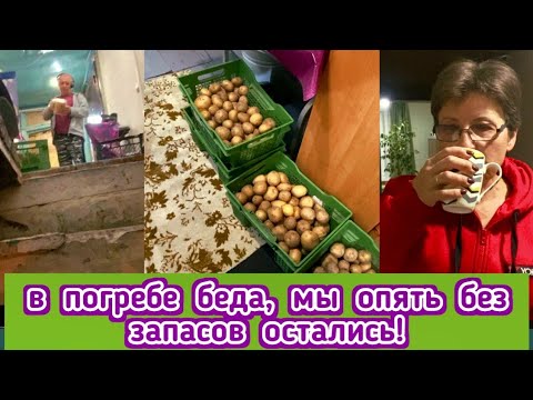 Видео: Беда у нас в погребе, как мой муж дефицит доставал на железной дороге, сколько я  успела за утро!