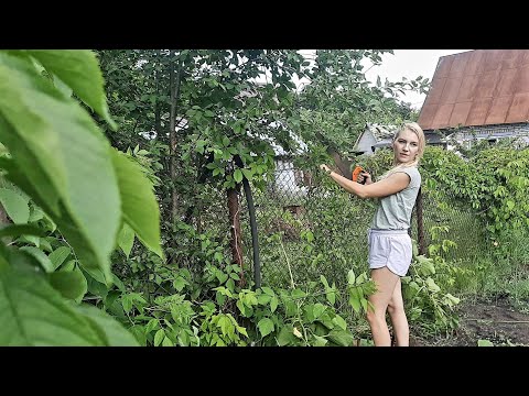 Видео: УЕХАЛИ В ГОРОД/ПОСЕТИЛИ ОКЕАНАРИУМ/ И СНОВА НА ГРЯДКИ/8 СОТОК 24 ИЮНЯ