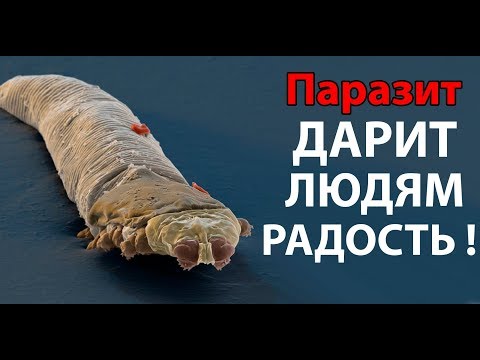 Видео: Каждый хочет заразиться этим паразитом ! ( Plague Inc: Evolved )