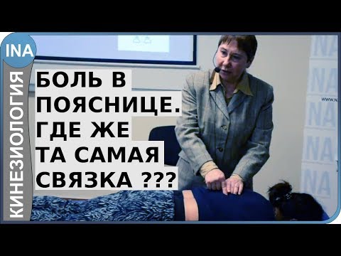 Видео: Боль в пояснице. Где же та самая связка? Проф. Л.Ф.Васильева. Кинезиология. Германия