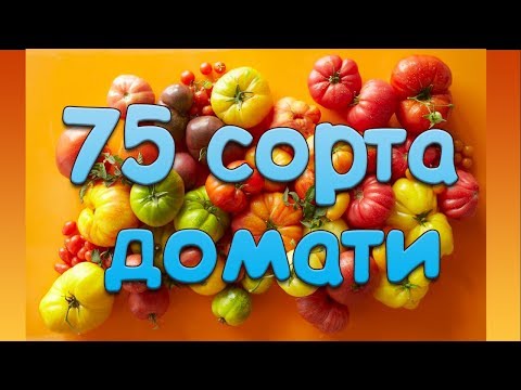 Видео: 75 сорта и хибриди домати