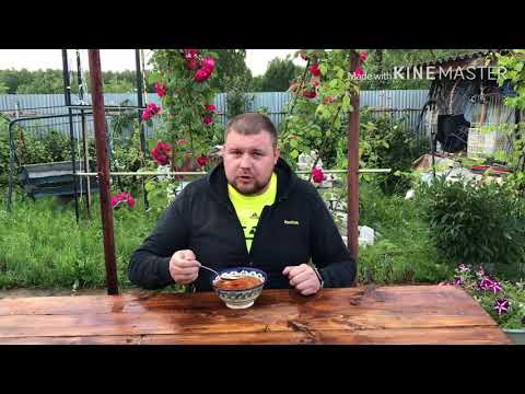 Видео: Мясная солянка сборная