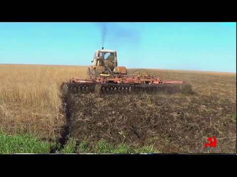 Видео: Начали дисковать не убранный рапс на двух Т-150К с БДМ-3х4 и БДТ-7.