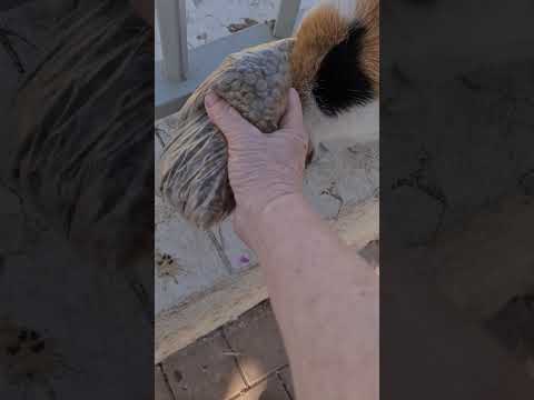 Видео: УЖАС ПЕРЕЖИЛА ПЯТНАШКА