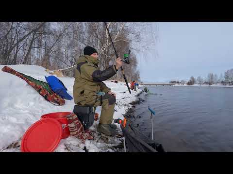 Видео: КОГДА КЛЮЕТ РЫБА ЛУЧШЕ ?   утром или вечером ? г. Волгореченск, Луневский канал.