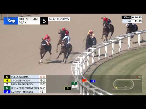 Видео: Повтор шоу в Gulfstream Park | 15 ноября 2025 г.