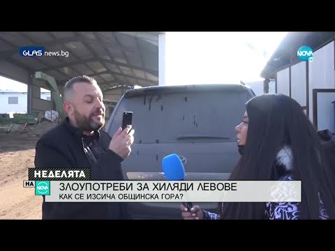 Видео: РАЗСЛЕДВАНЕ НА NOVA: Как се изсича общинска гора?