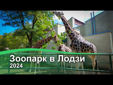 Видео: Зоопарк Лодзь (океанариум), 2024