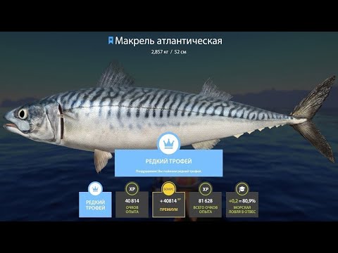 Видео: 🐠НОРВЕЖСКОЕ МОРЕ.САМОЕ УДИВИТЕЛЬНОЕ ТРОФЕЙНОЕ МОРЕ)))🐬 РОЗЫГРЫШИ РУЛЕТОК🐾