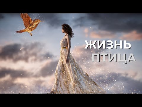 Видео: Жизнь Птица | новая песня