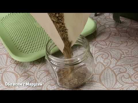 Видео: ЕСЛИ У ВАС РАСТЕТ МЯТА СДЕЛАЙТЕ МЯТНЫЙ САХАР/НУЖНО В КУЛИНАРИИ И В АПТЕЧКЕ@obovsemsmarusya