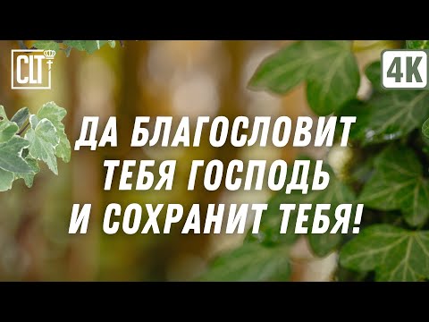 Видео: Бог же силен обогатить вас всякою благодатью! | Relaxing | Библейские стихи о благословении