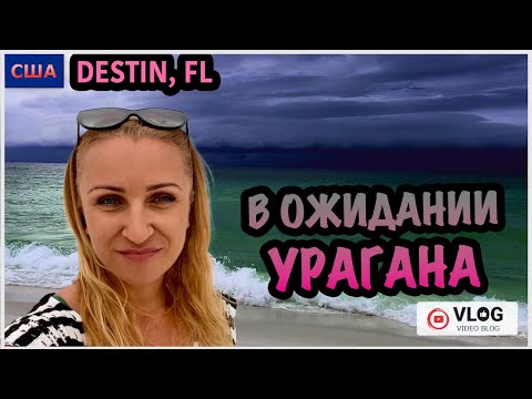 Видео: Ожидание урагана во Флориде/ Погода меняется на глазах/ Уехали от урагана/ Нашли выход из ситуации.