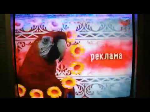 Видео: Заставки ТЕТ (07.03.2008-29.08.2010)