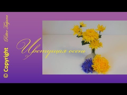 Видео: #99. Цветущая осень.  Хризантема, георгина, астра крючком.