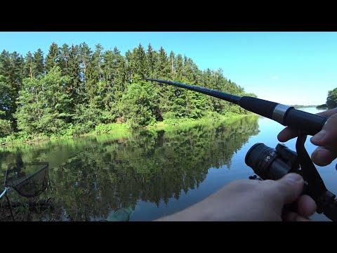 Видео: Две ночи на Истринском водохранилище.  Рыбалка , шашлыки , отдых с душой!