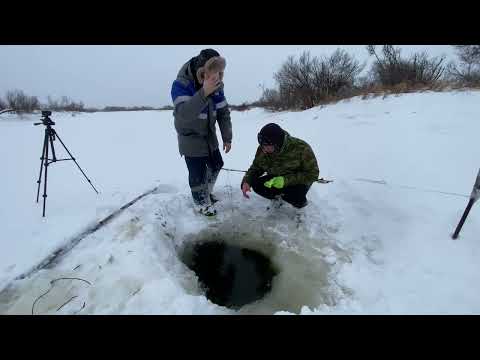 Видео: ЭКСТРЕМАЛЬНАЯ РЫБАЛКА! КАРАСИ ПОПАЛИСЬ В СЕТЬ! ЛЕД ТАЕТ ПОД НОГАМИ #рыбалка #КАРАСЬ #поставьлайк
