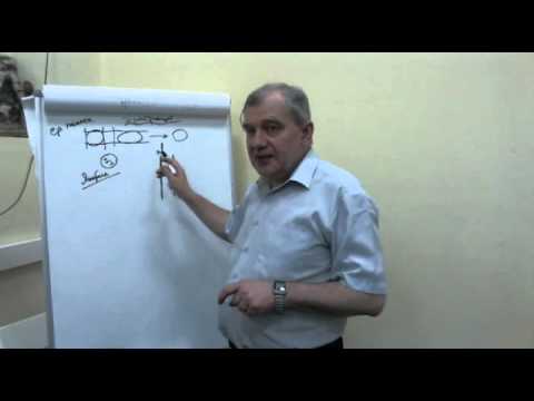 Видео: Лекция Алименко А.Н.  «Наша кровь – наша жизнь»
