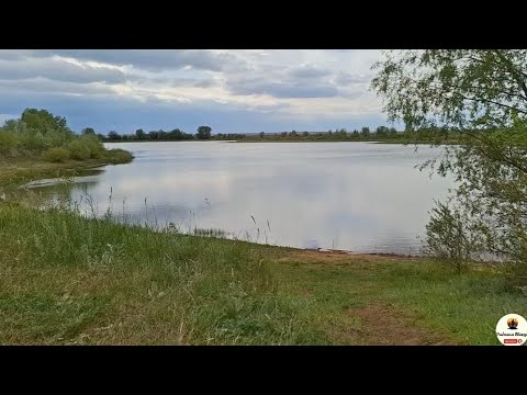 Видео: МИКРОДЖИГ НА ПРУДУ. Эффективная ловля окуня и щуки!