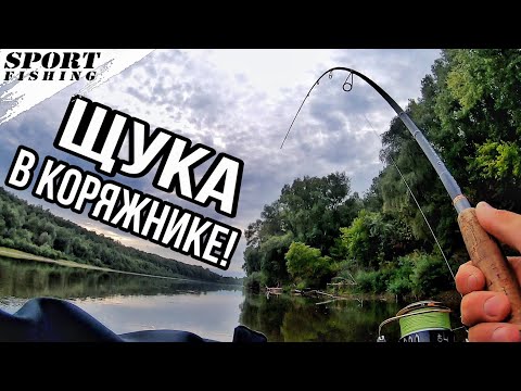 Видео: НАШЛИ ЛОГОВО ЩУКИ! Ловля щуки В КОРЯЖНИКЕ на джиг с лодки! Рыбалка на щуку в сентябре 2021!