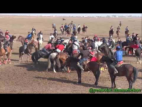 Видео: Ордабасы ауданы Жеңіс ауылы Шопаевтар әулеті берген көкпар 21.02.2023 жыл