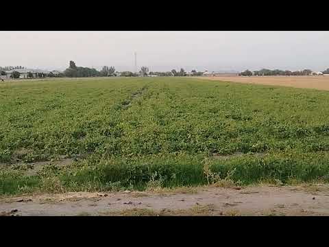 Видео: 26 сентября 2025 г.