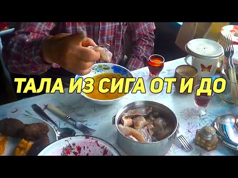 Видео: ✔️ ТАЛА ИЗ СИГА ОТ И ДО (архив 2014г., улучшена резкость, цветопередача и звук)