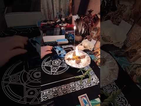 Видео: Чистка паучий порчи  🕷🕷🕷🕸