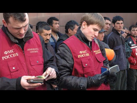 Видео: москва ташкент цены на билет