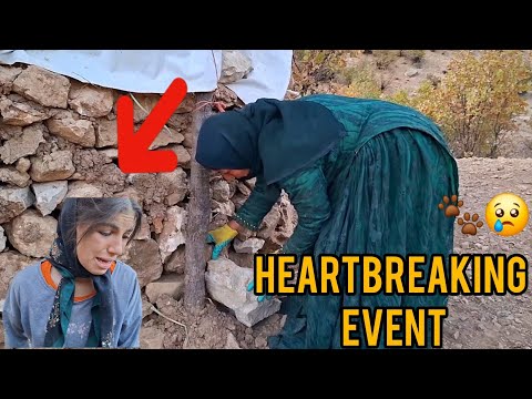 Видео: Душераздирающе: бездомная мать ограблена и рискует жизнью, чтобы спасти детей!