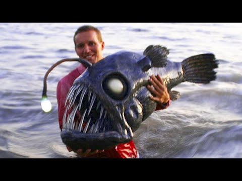 Видео: 5 Самых Жутких и Хищных МОНСТРОВ ОКЕАНА!!!