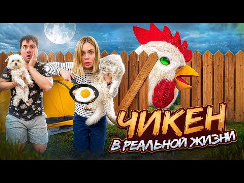 Видео: ЗЛАЯ ЧИКЕН В РЕАЛЬНОЙ ЖИЗНИ В НАШЕМ ДОМЕ С КОТОМ И СОБАКОЙ