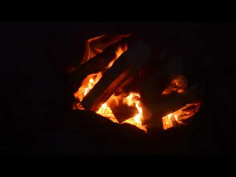 Видео: ОХОТА НА УТКУ. ТАЕЖНАЯ КУХНЯ.