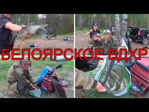 Видео: БЕЛОЯРСКОЕ ВХР. ПОИСКИ ЛЕЩА . ЧЕРЕМШАНА.