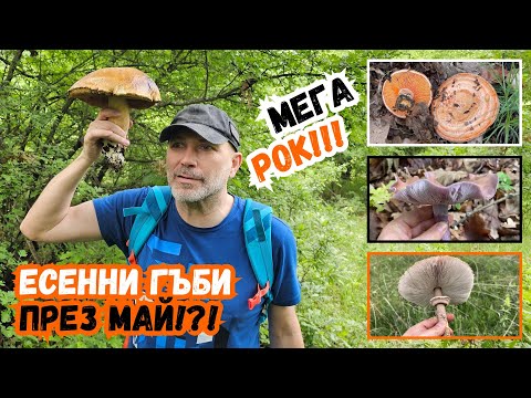 Видео: Есенни #гъби към края на май?!?