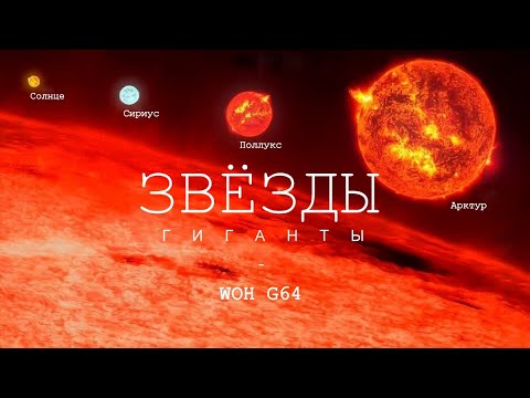Видео: Самые большие Звёзды во Вселенной!