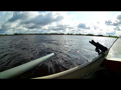 Видео: Комплексная осенняя рыбалка на реке Шелонь 14 09 2019