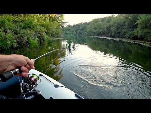 Видео: ОН СДЕЛАЛ МОЮ РЫБАЛКУ! Ловля хищной рыбы на спиннинг летом!