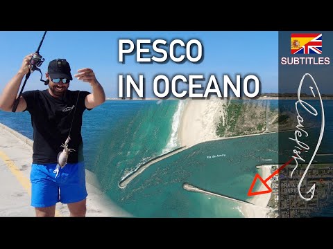 Видео: Рыбачил в Португалии разными техниками!